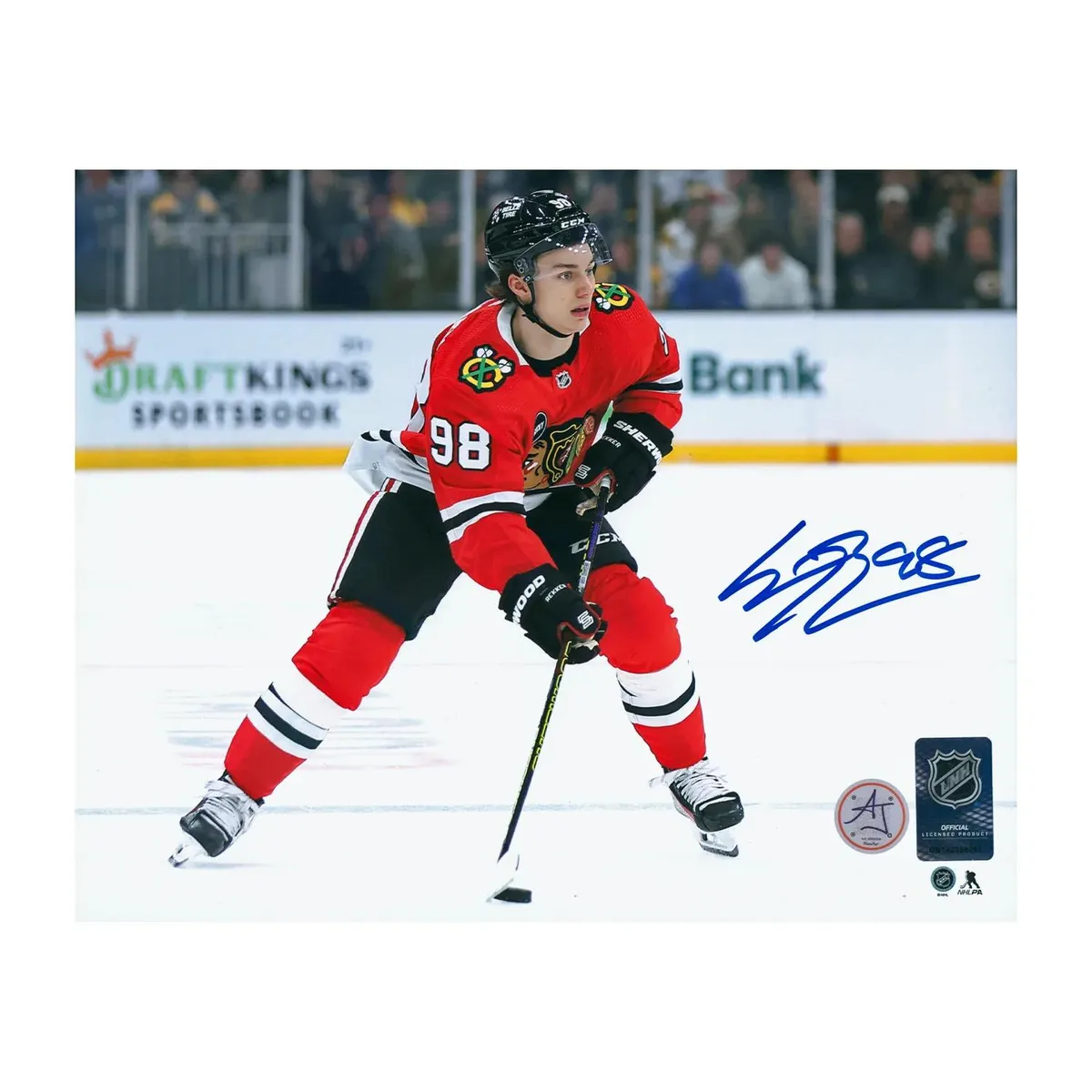 connor bedard — CA news