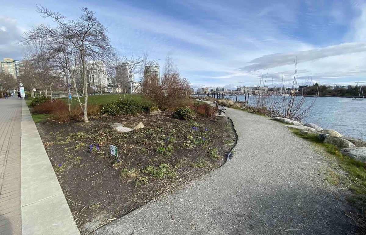 david lam park — CA news