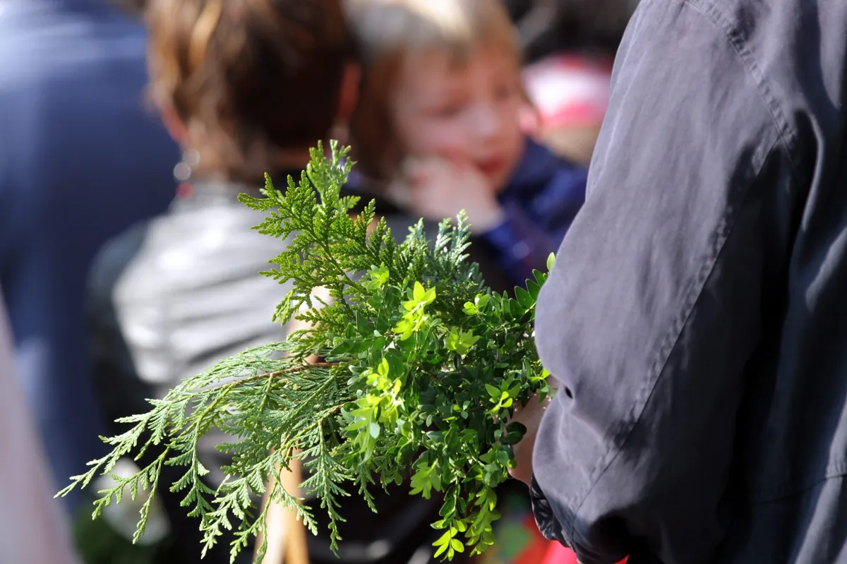 Dimanche des rameaux: Palm Sunday: A Day of Celebration and Controversy