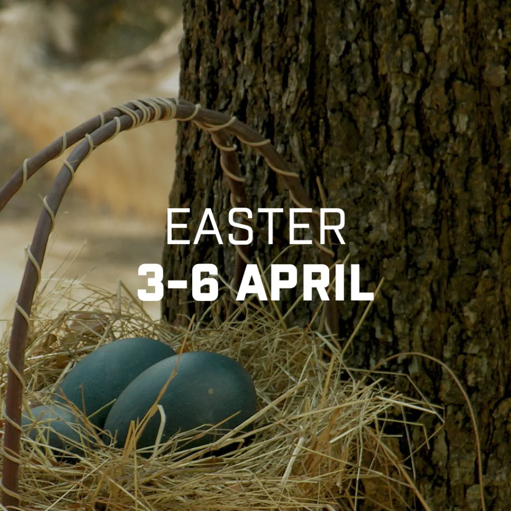 easter weekend 2026 — CA news