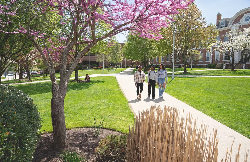 Eid al fitr 2026: Eid al-Fitr 2026: The Festival of Breaking the Fast Approaches