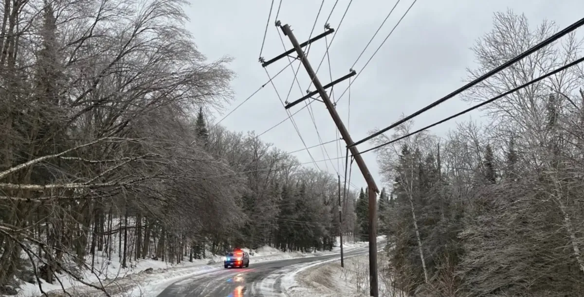 Hydro One Outage: Strong Winds Prompt Preparedness in Toronto