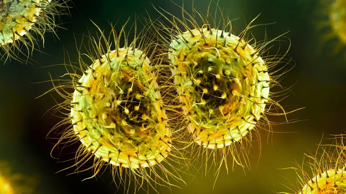 Meningococcal Meningitis Outbreak: A Crisis at the University of Kent