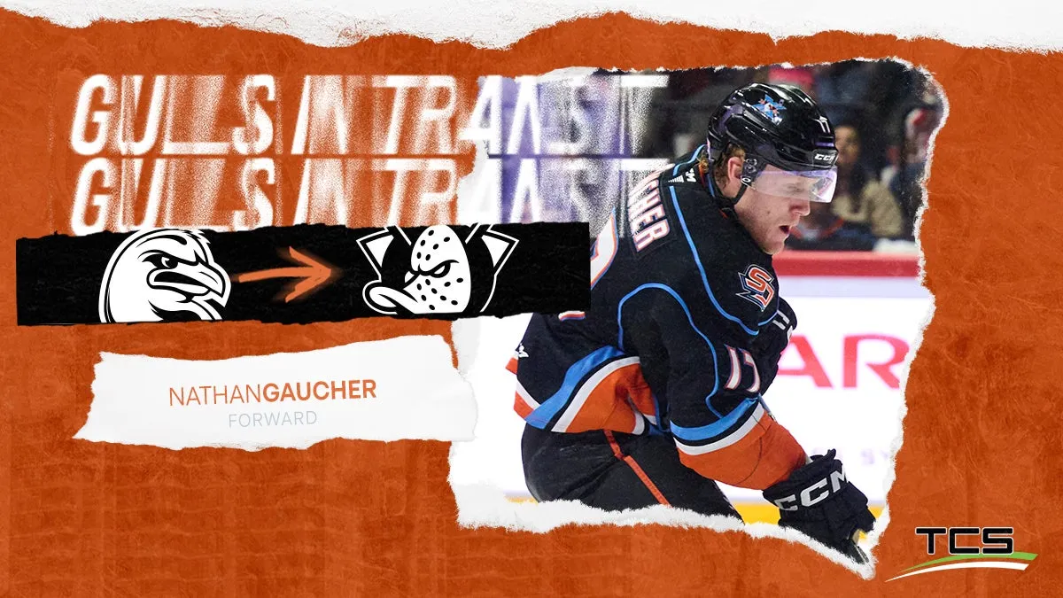 Nathan Gaucher: Anaheim Ducks Recall Promising Forward from AHL