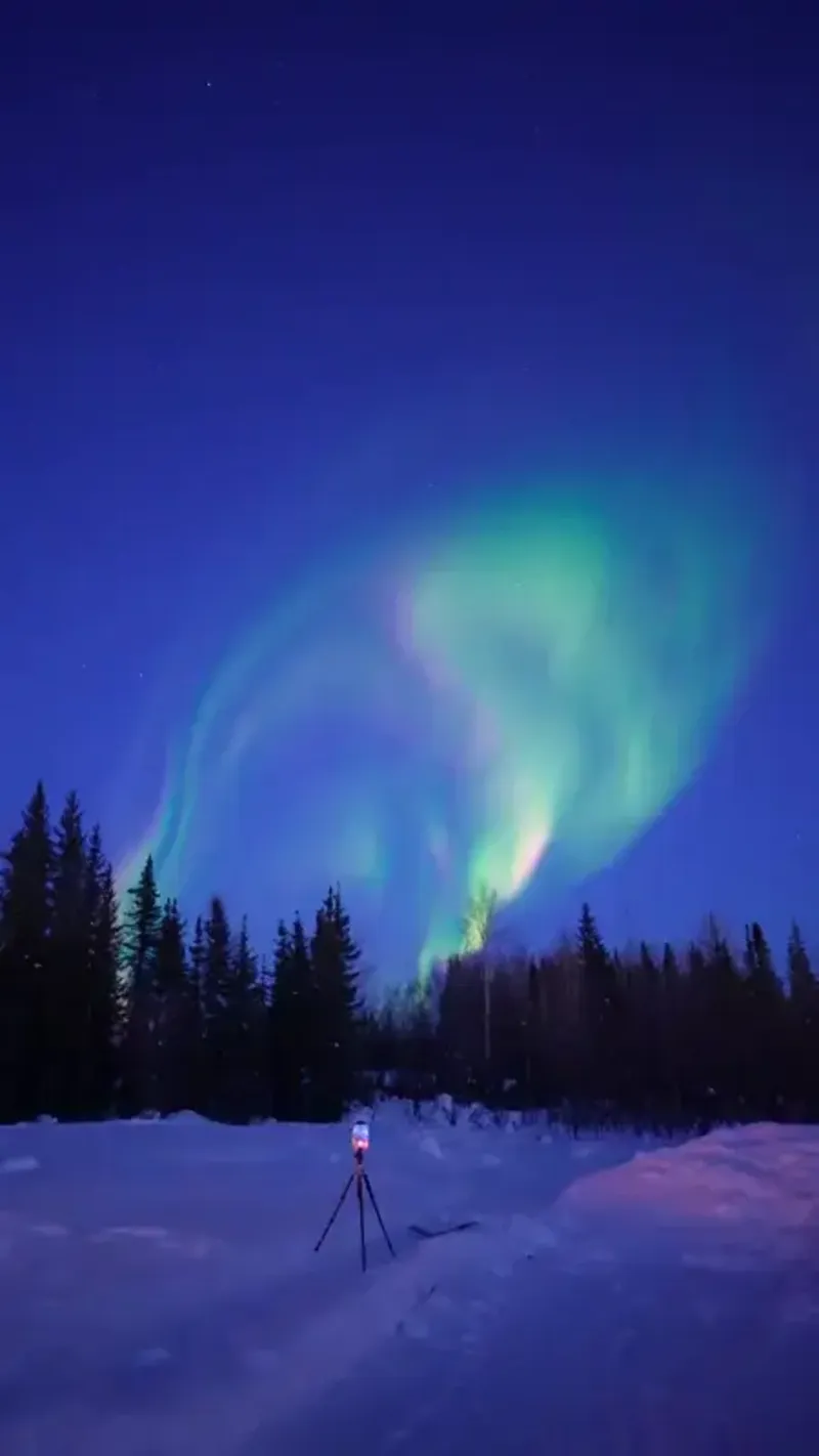 News today: Shoplifting and Police Incidents:  in Medicine Hat