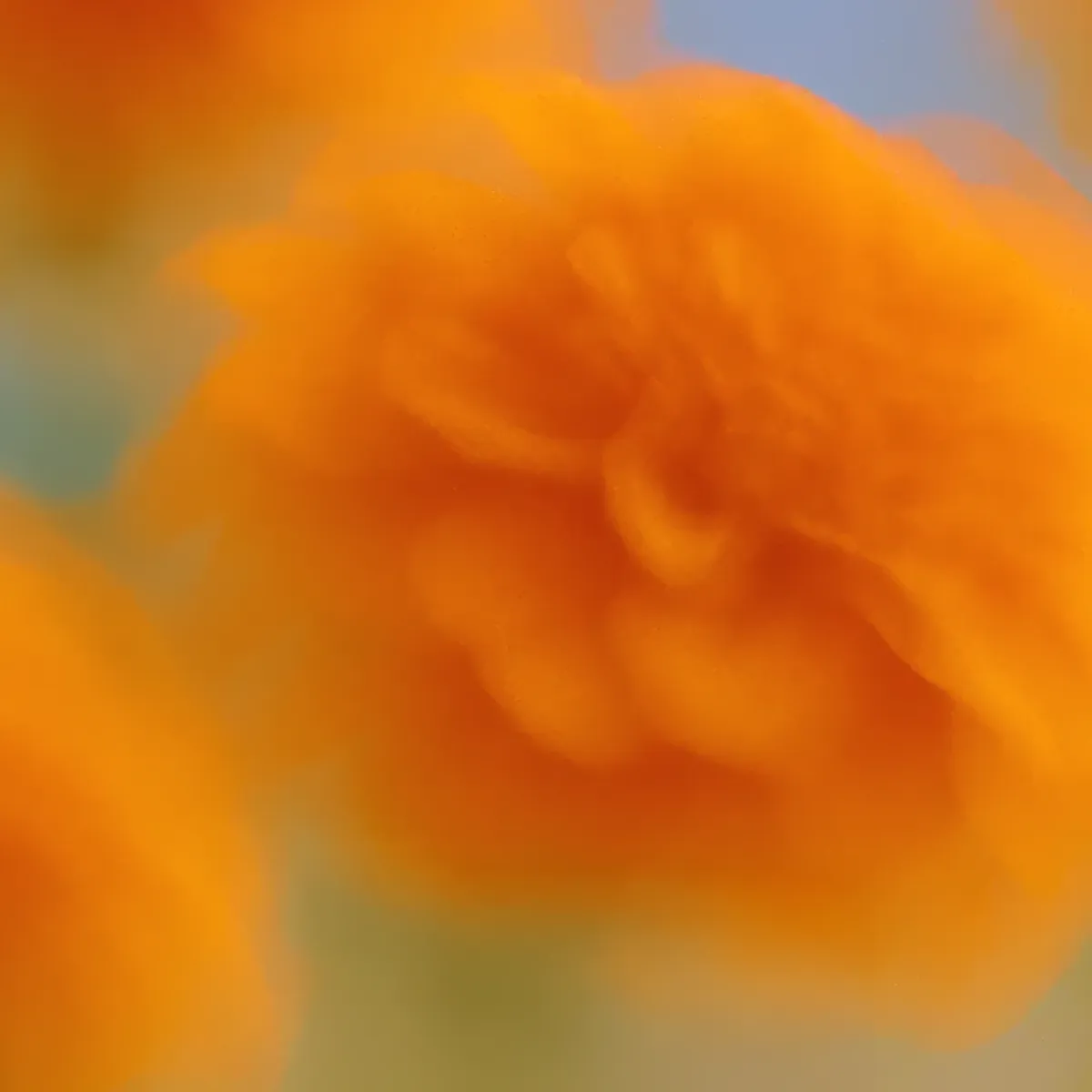 OpenAI’s Strategic Shift: The End of Sora and Future Prospects