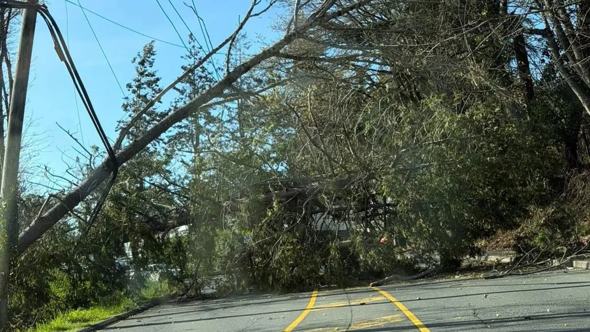 vancouver island power outages — CA news