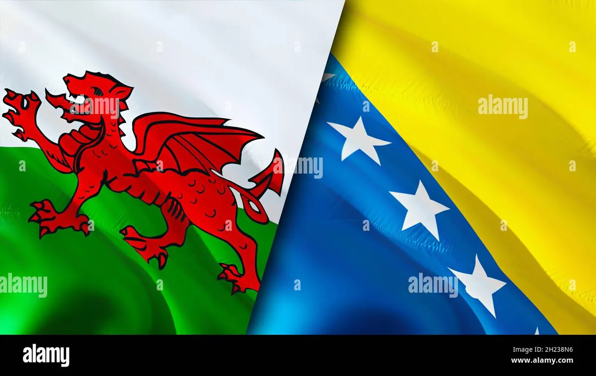 wales vs bosnia and herzegovina — CA news