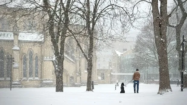 Winter Storm Warning Weather in Greater Toronto Area and Sudbury