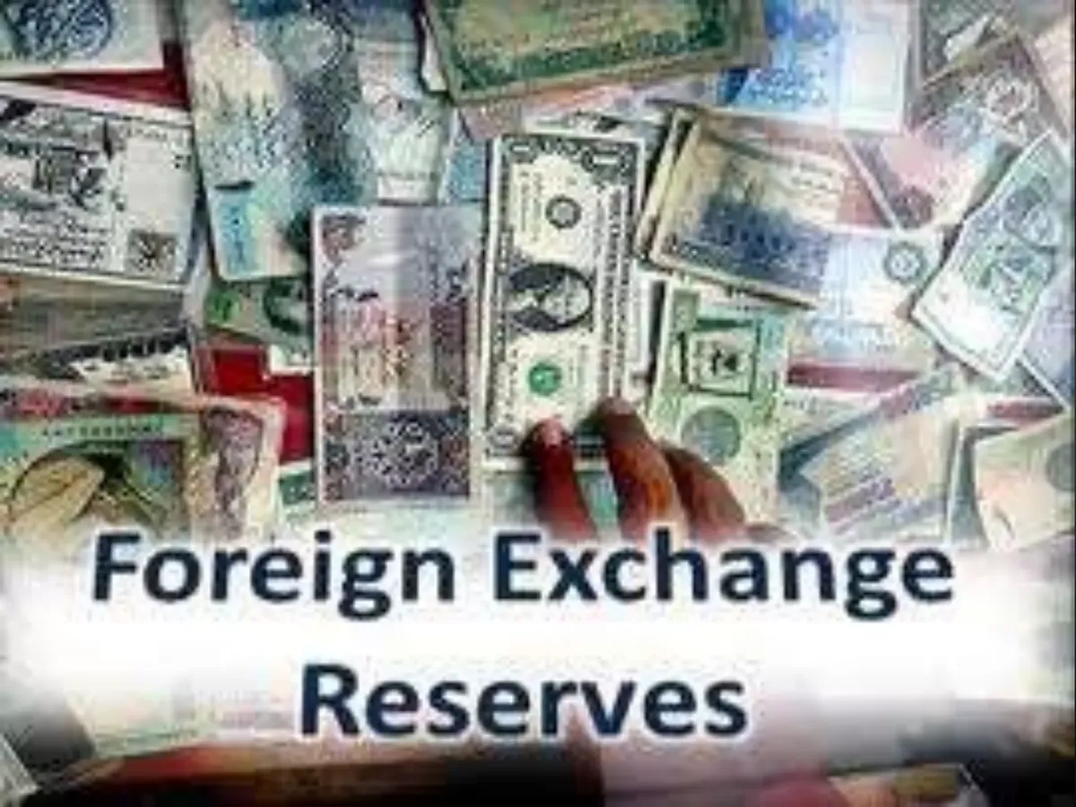 Foreign exchange reserves: The Shifting Landscape of : A Closer Look at the Dollar’s Decline