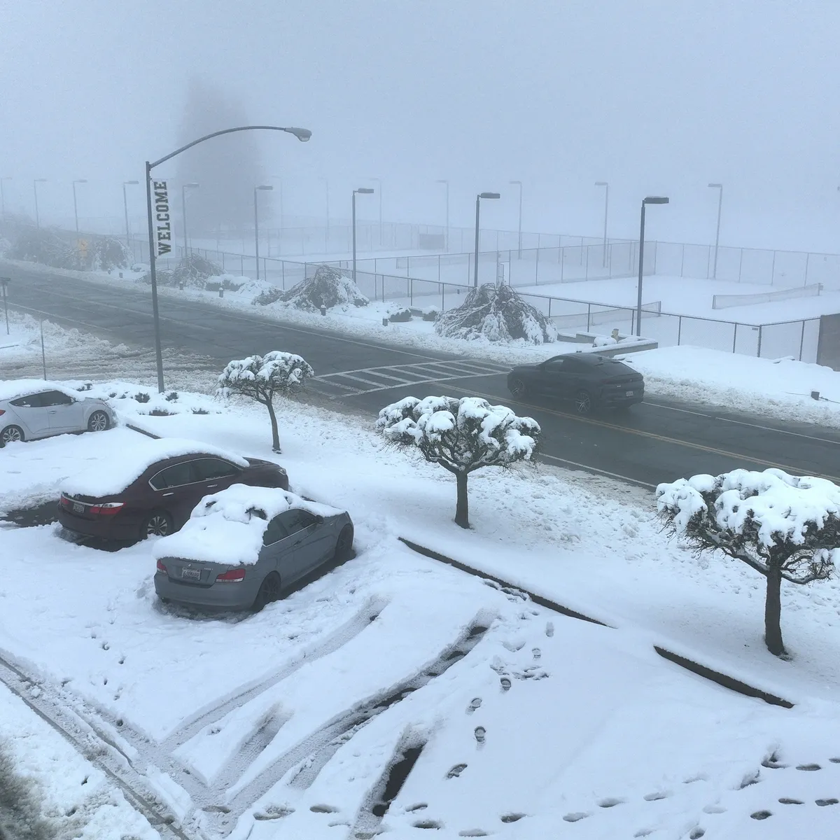 Tempête de neige: Snowstorm Set to Blanket Quebec with Up to 45 cm of Snow