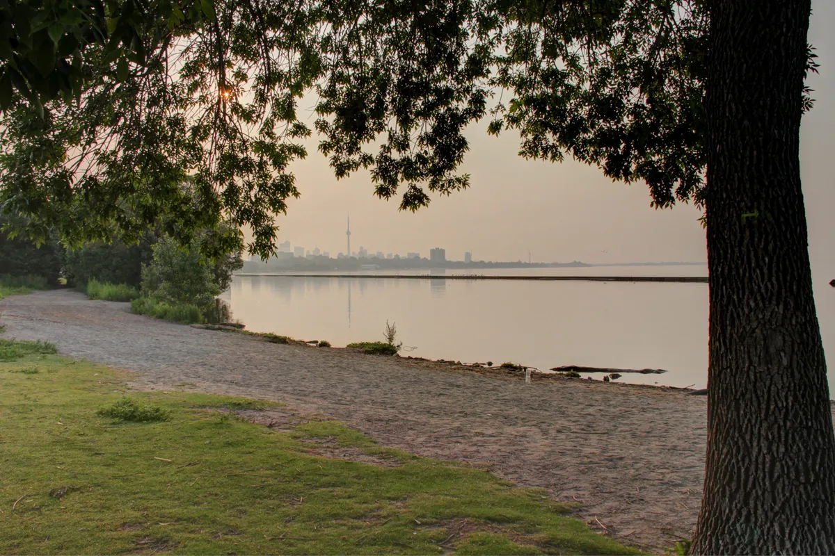 The neighbourhood toronto: The Neighbourhood Returns to Toronto: A Long-Awaited Concert Experience