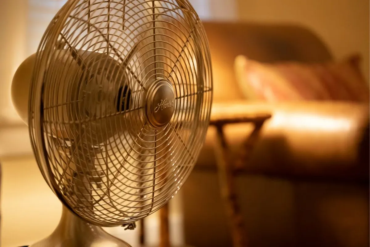 tjx canada merkury fan recall — CA news