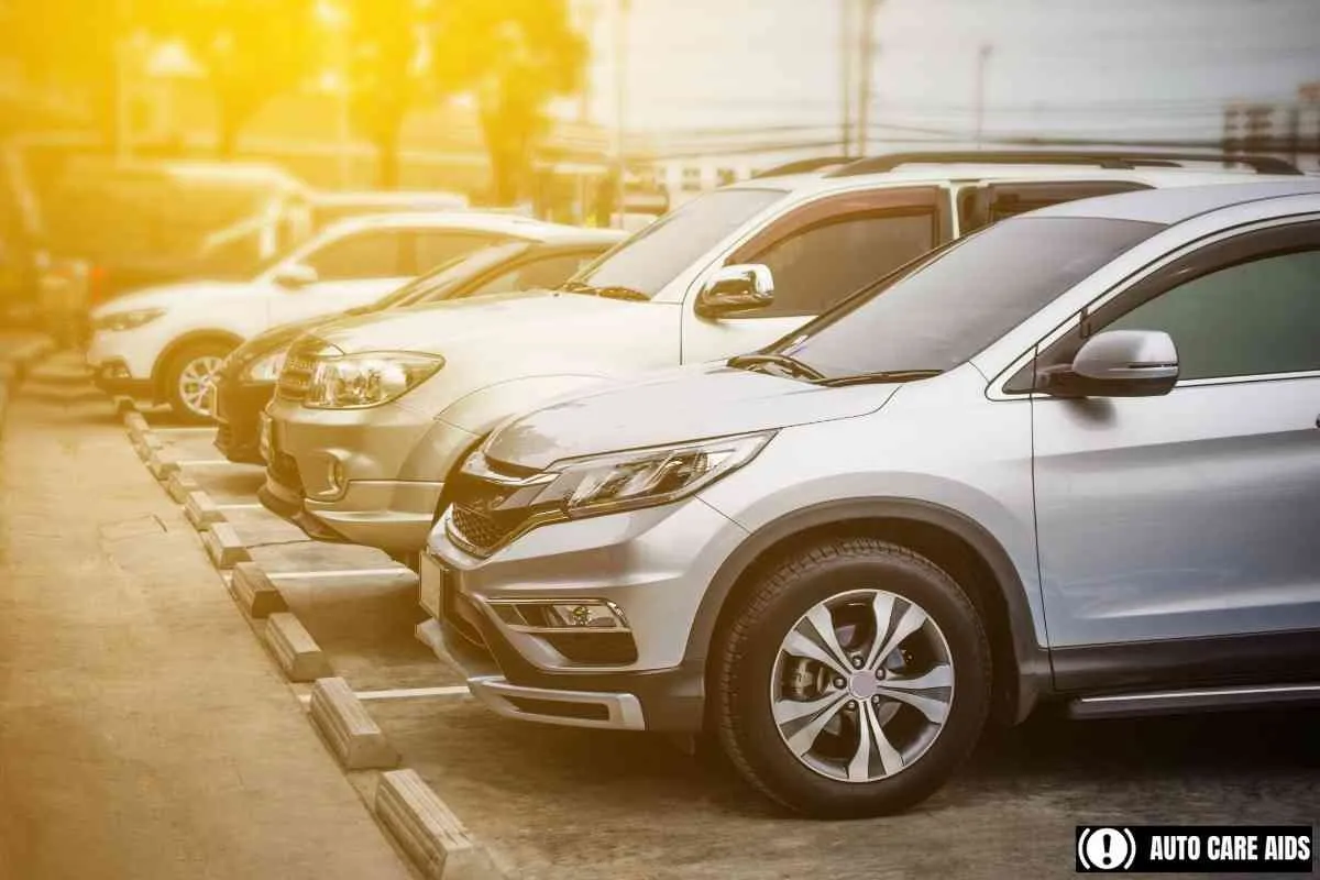 Vehicle: Stolen Causes Chaos in Downtown Kamloops