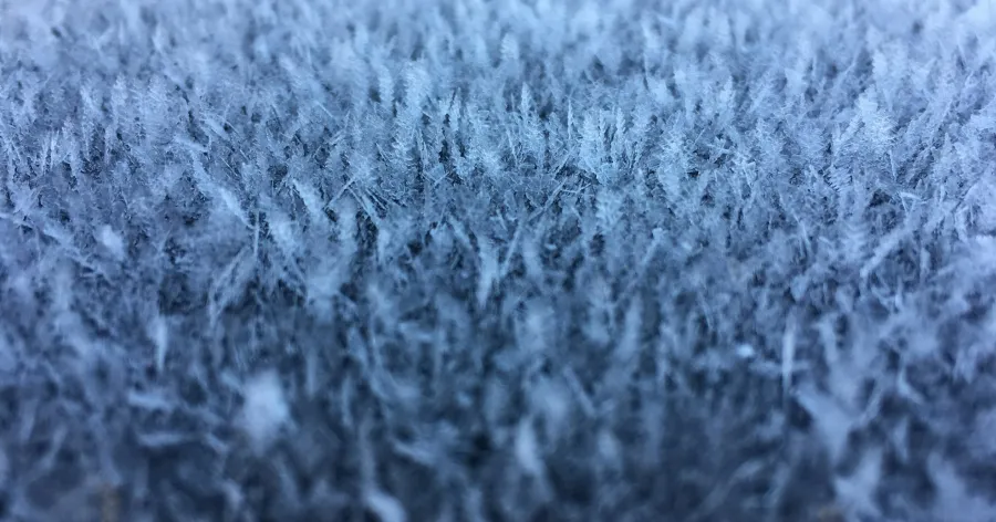 yellow advisory - frost — CA news