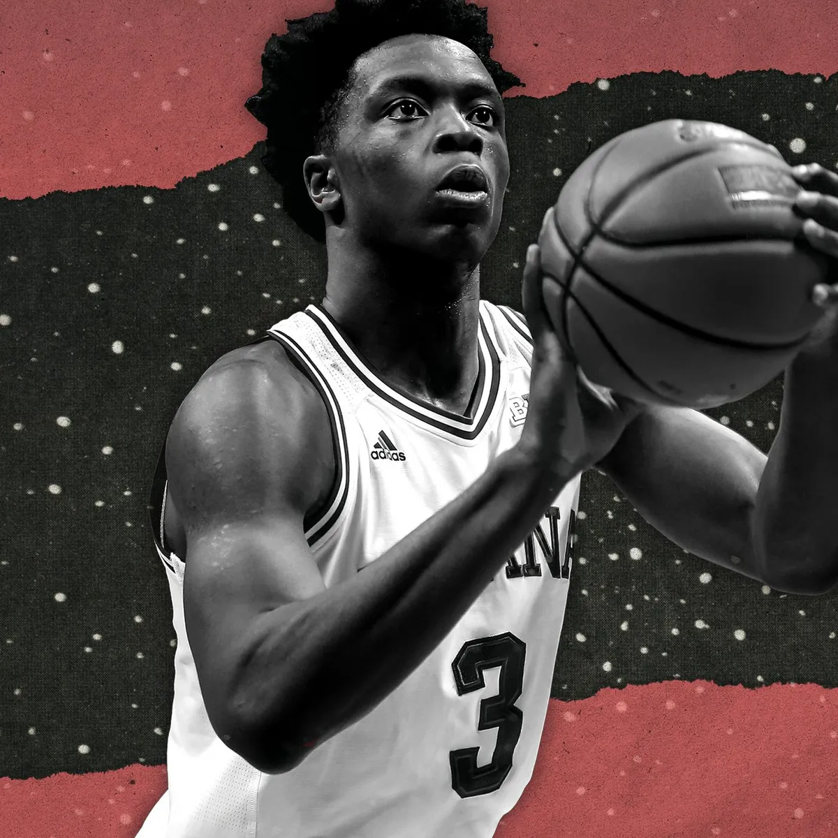 OG Anunoby Shines Amidst Celebrity Support for Knicks