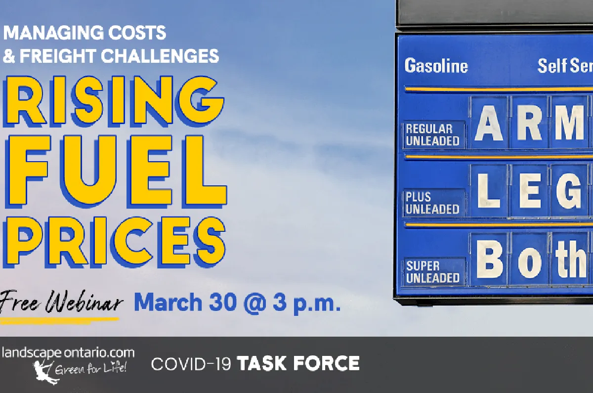 rising fuel costs travel — CA news