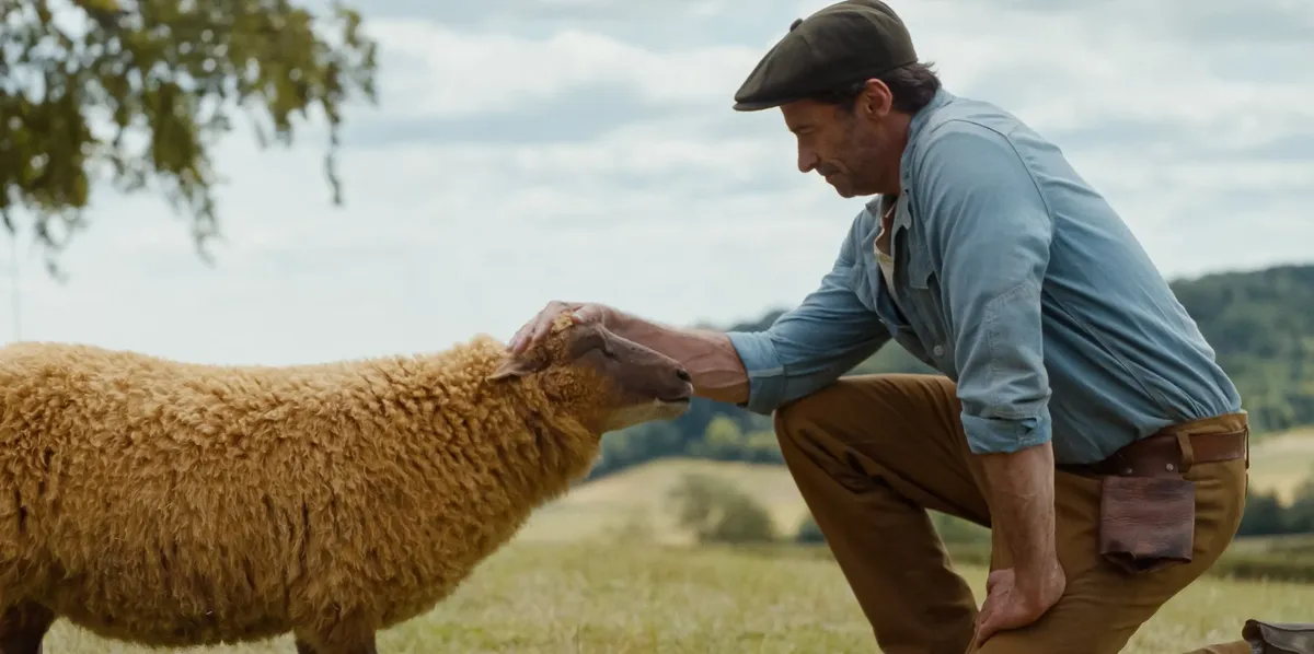the sheep detectives — CA news