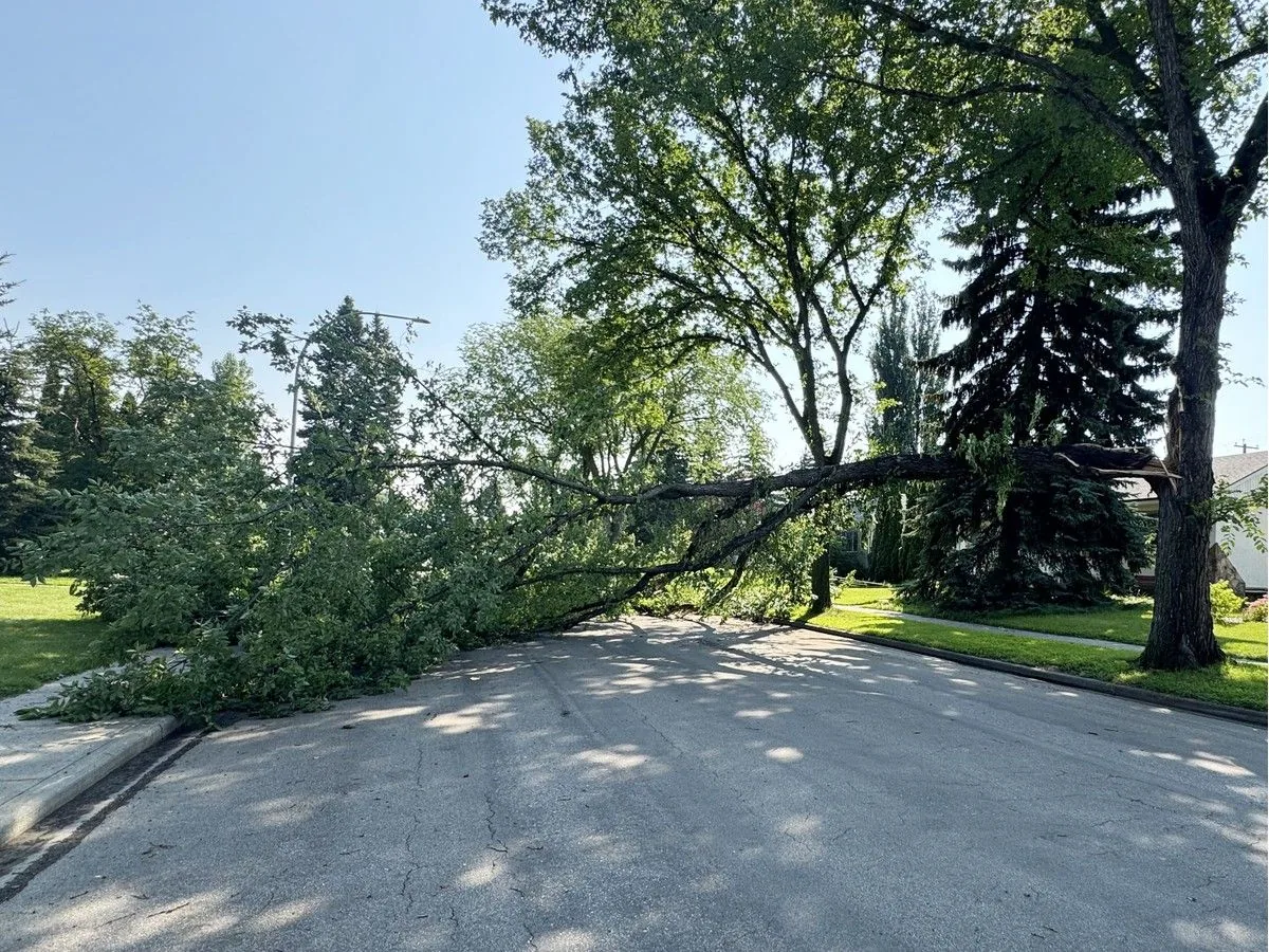 Fallen bricks damage vehicle during Saturday storm in central Edmonton - CTV News
